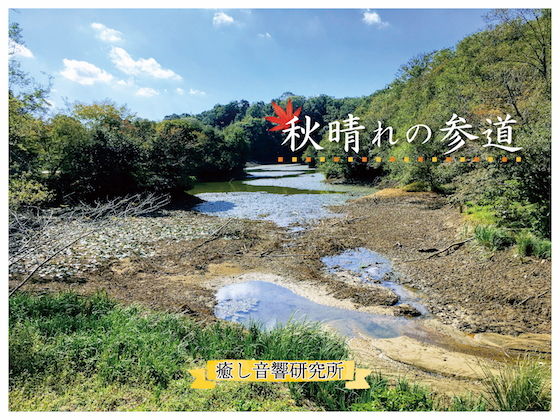 秋晴れの参道 バイノーラル録音によるバーチャル参拝(癒し音響研究所) [d_198540]