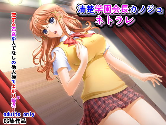 清楚学園会長カノジョネトラレ(夜山の休憩所) [d_199253]