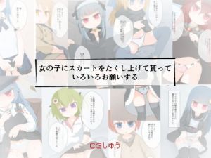 女の子にスカートをたくし上げて貰っていろいろお願いする(らーすとちゅか) [d_200108]