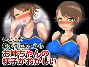 いとこが泊まりに来てからお姉ちゃんの様子がおかしい(Studio_PARAG) [d_200556]