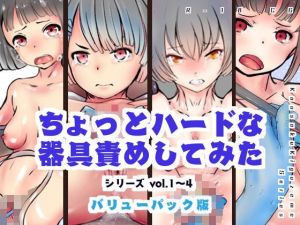 【バリューパック版】ちょっとハードな器具責めしてみたvol1〜4【セット販売】(灯工房) [d_201884]