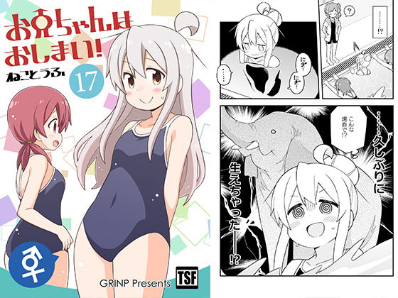 お兄ちゃんはおしまい！17(GRINP) [d_201513]