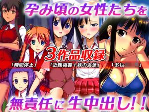 「時間停止」「妹と妹の友人」「おねショタ」の3作品セット(スタジオ・ワラビーS) [d_202391]