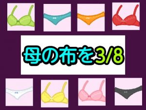 母の布を3/8(シャミデスワ) [d_202556]