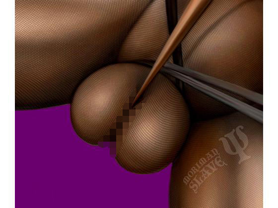 moriman slave vol，2(M-Factory) [d_202920]