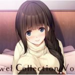 JewelCollectionVol，2(妄想クリエーション) [d_202943]