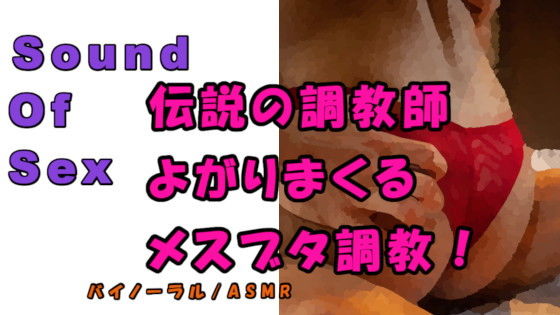 ノンフィクションSEXボイス！実録！ガチムチ熊系調教師が首絞め、スパンキング、言葉責めで尻でかメスブタを調教完了！ ASMR/バイノーラル/催●音声/M女/○辱☆(ヨルマガ！ -ASMR Night Life Media-) [d_204258]