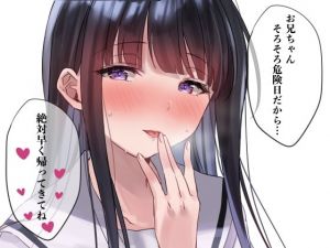 ガチ子作り宣言したらすごい乗り気な妹「お兄ちゃん、そろそろ危険日だから絶対早く帰ってきてね？」(Lovelyvoices) [d_204279]