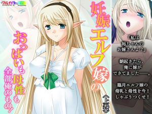 妊娠エルフ嫁のおっぱいも母性も全部俺のもの！ 上巻(悶々堂) [d_204342]