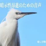 被暗示性昂進の為の音声(癒し音響研究所) [d_204739]