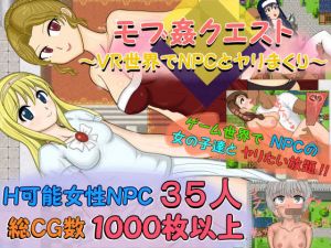 モブ姦クエスト 〜VR世界でNPCとヤリまくり〜(ナイトエンペラー) [d_201644]