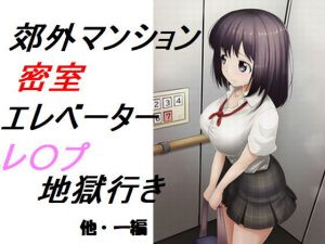 郊外マンション密室エレベーター レ〇プ地獄行き(prizm) [d_205907]