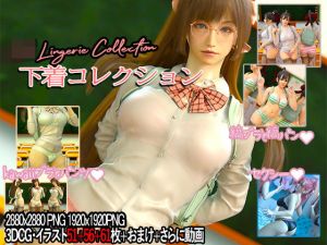 下着コレクション(かすみんティー) [d_206637]