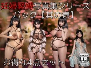 妊婦緊縛写真集シリーズパック【其の壱】(幽霊列車Works) [d_207599]