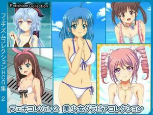 【フェチコレVol.2】 グラビア美少女コレクション(シグ子（黒羽）) [d_208271]