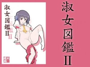 淑女図鑑2(敷島贋具) [d_208611]