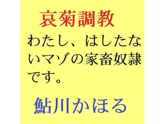 哀菊調教 わたし、マゾの家畜奴●なんです(鮎川かほる) [d_209012]