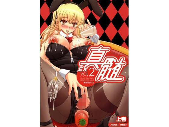 真髄EX 2 上巻(とらのあな) [d_209585]