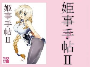 姫事手帖II(敷島贋具) [d_210011]