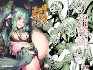 オークに囚われたエルフは(エリア14) [d_210124]