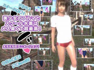美少女のブルマとスクール水着はメス臭くて超最高！(生肉汁ゲーム) [d_210941]
