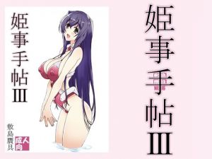 姫事手帖3(敷島贋具) [d_211093]