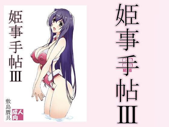 姫事手帖3(敷島贋具) [d_211093]