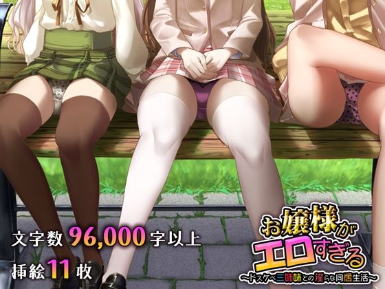 お嬢様がエロすぎる 〜ドスケベ三姉妹との淫らな同居生活〜(聖華快楽書店) [d_211211]