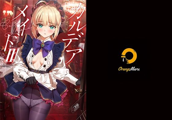 カルデアメイド3(OrangeMaru) [d_211313]