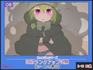 初級ランクアップ試験（シーフの場合）(らーすとちゅか) [d_211336]