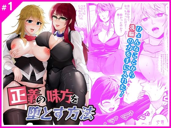 正義の味方を堕とす方法(マリアライト) [d_211837]