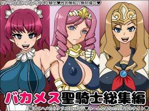バカメス聖騎士総集編(にっちさんぎょう) [d_212565]