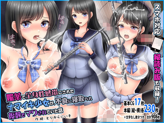媚薬で全身性感帯にされたナマイキ少女が、不良に寝取られ複数でマワされていた話(とりからにいそ) [d_211826]