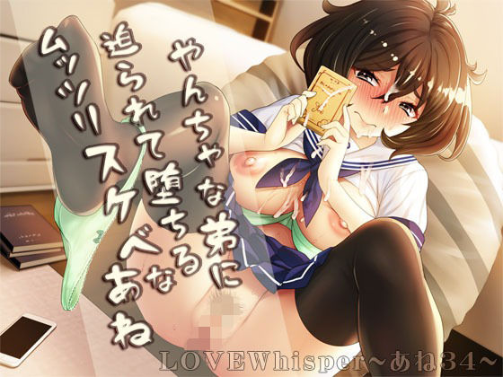 やんちゃな弟に迫られて堕ちるムッツリスケベなあね(MooNSHINeR) [d_214015]