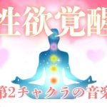 性欲覚醒のためのソルフェジオ周波数音楽(スピリチュアル音楽研究所) [d_216901]