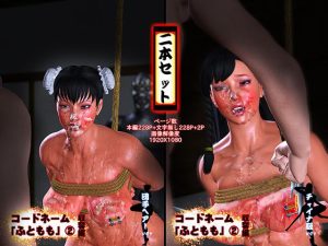 コードネーム「ふともも」 2収容編 二本パック(ブロークンディーヴァ) [d_216908]