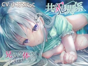 共犯関係 〜兄さんの身体さえあればいい〜(チームランドセル) [d_216281]