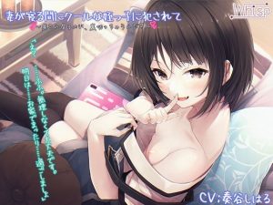 【受けNTR】妻が寝る間にクールな姪っ子に犯●れて〜奥さん居るのに、裏切っちゃうんだ？〜【プレミアムフォーリー】(Whisp) [d_217699]