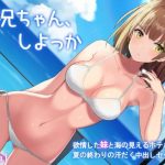 お兄ちゃん、しよっか〜欲情した妹と海の見えるホテルで夏の終わりの汗だく中出しセックス(ほぬ☆かふぇ) [d_218949]