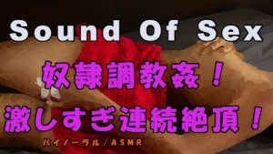 ノンフィクションSEXボイス！実録！M女ブタ女の奴●調教！-スパンキング＆巨根のガン突きで声が枯れるまで連続絶頂！！- ASMR/バイノーラル/ドS/M女/激しめ/サド☆(ヨルマガ！ -ASMR Night Life Media-) [d_219171]
