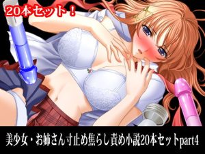 美少女・お姉さん寸止め焦らし責め小説20本セットpart4(淫乱テディベア) [d_220340]