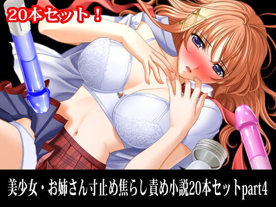 美少女・お姉さん寸止め焦らし責め小説20本セットpart4(淫乱テディベア) [d_220340]