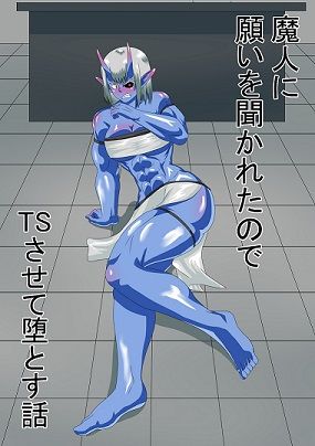 魔人に願いを聞かれたのでTSさせて堕とす本(鬱日) [d_222308]