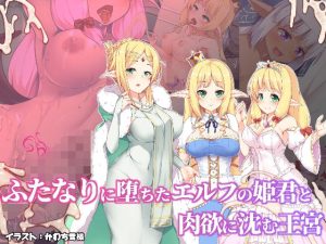 ふたなりに堕ちたエルフの姫君と肉欲に沈む王宮(ドダメ屋さん) [d_211552]