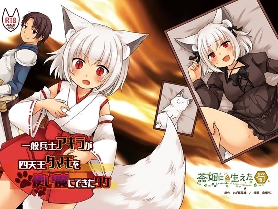 一般兵士アキラが四天王タマモを使い魔にできたワケ(茶畑に生えた筍) [d_221208]