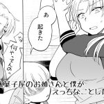 駄菓子屋のお姉さんと僕がえっちなことした話(実験B棟) [d_223667]