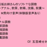 裏垢お姉さんのソフト？な調教〜アナル、飲尿、飲精、脱糞〜(猫丸もふ屋) [d_223709]
