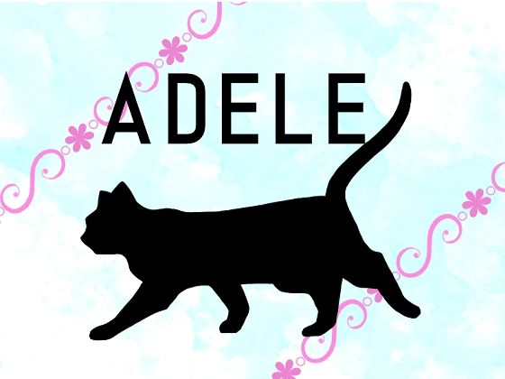 ADELE(柊木犀) [d_224740]