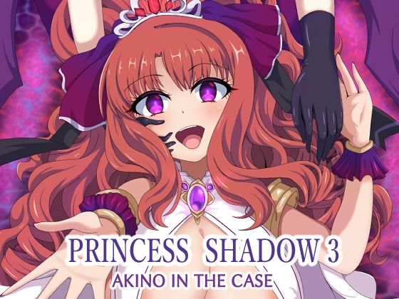 PRINCESS SHADOW3(虹夢処) [d_226027]