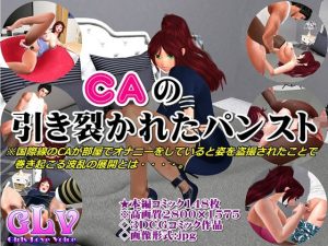 CAの引き裂かれたパンスト(ガールズラブボイス) [d_226279]
